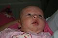 04_najaar 2007 2 025
